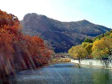 新澳门二四六天天开奖，上海排水板